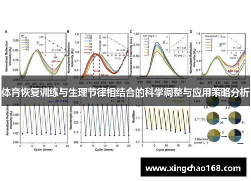 体育恢复训练与生理节律相结合的科学调整与应用策略分析